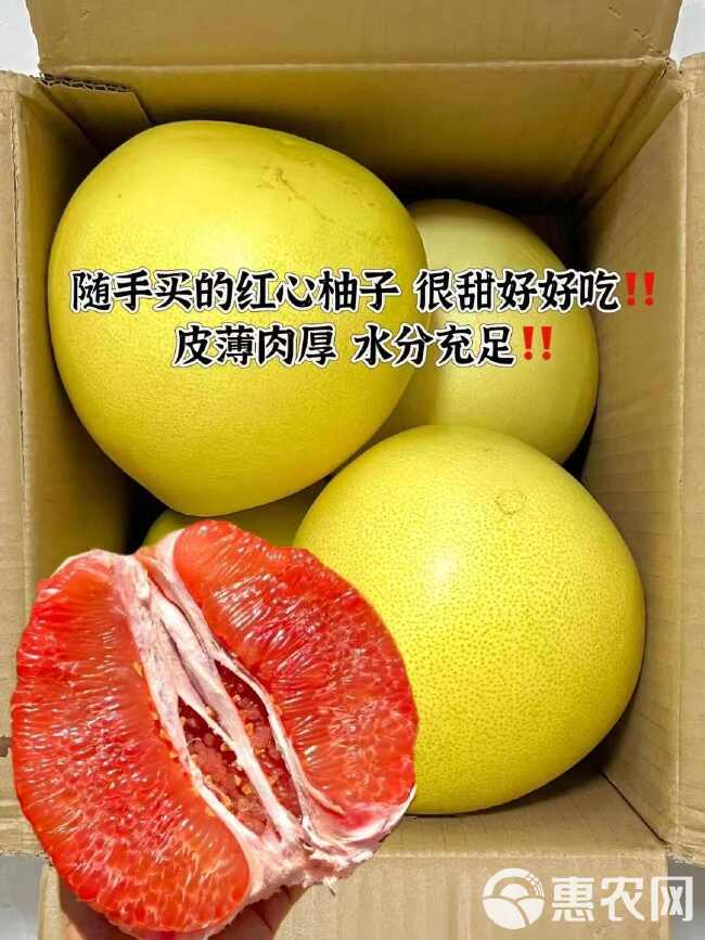 红心蜜柚广西福建平和红肉薄皮三红柚子仿真批发果蔬