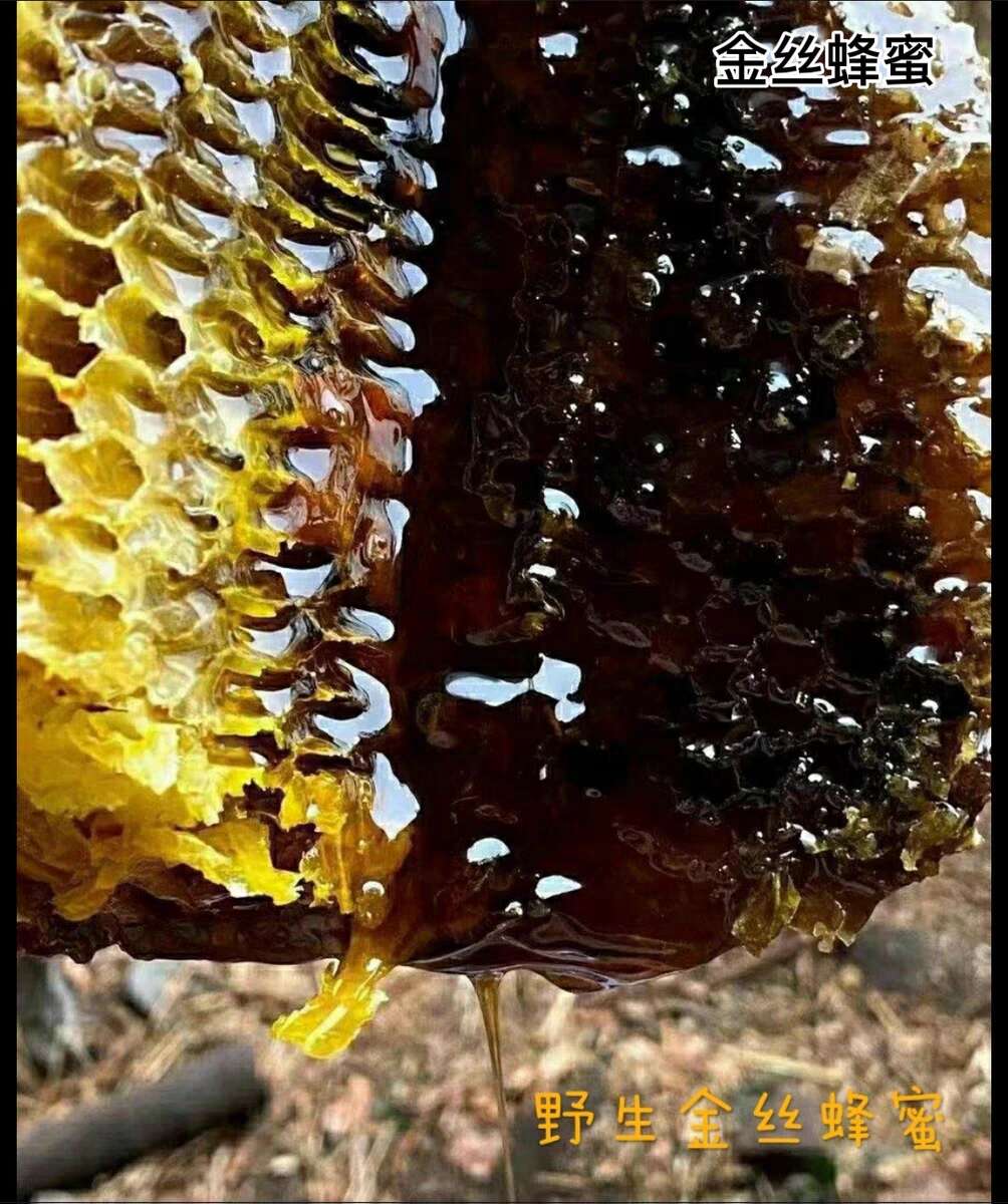 米团花黑蜂蜜的功效与禁忌(米团花蜂蜜的口感)