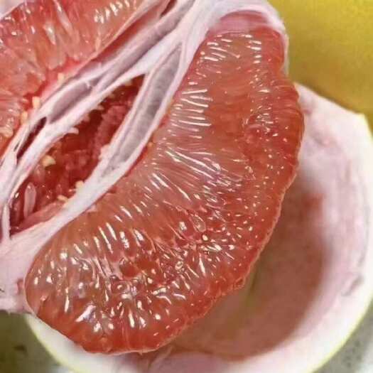 平和县平和蜜柚