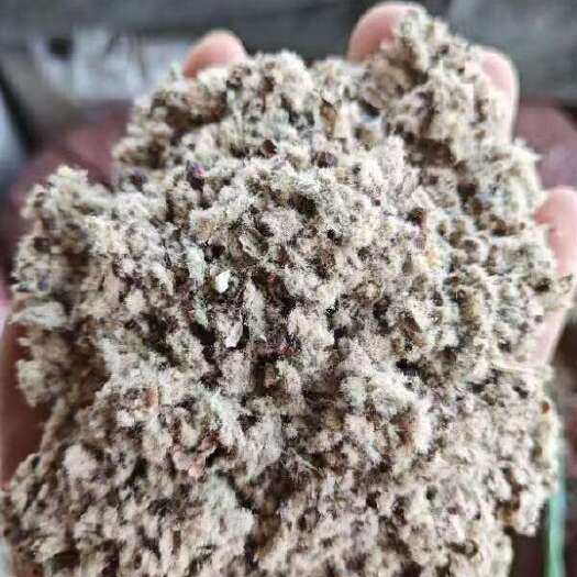昌吉市磨盘壳/新疆优质磨盘壳/高含粉磨盘壳