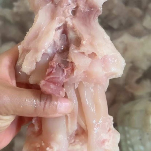 阳信县国产纯干纯水煮精修整个牛主筋