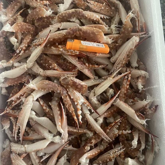 石英蟹脚（红花蟹脚）