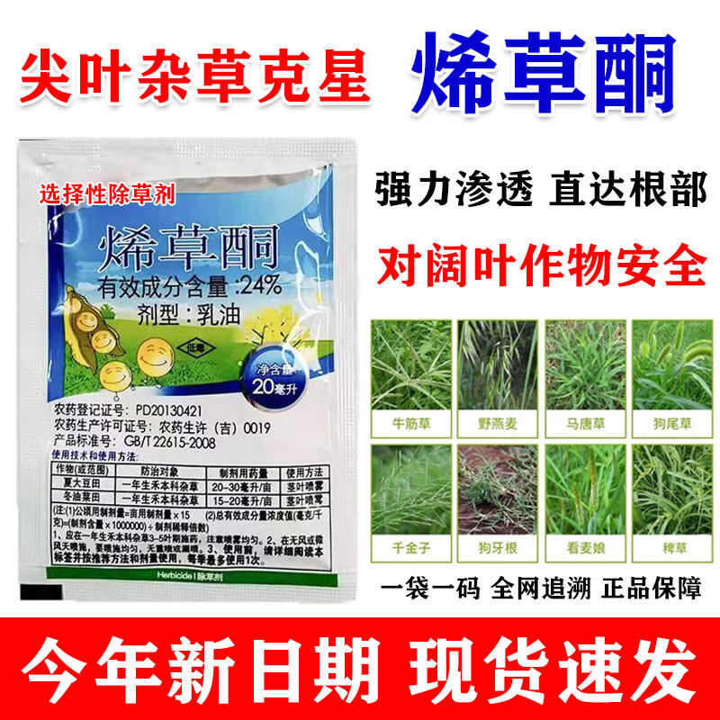 烯草酮尖叶杂草专杀花生大豆油菜田除草剂牛筋草芦苇等尖叶草