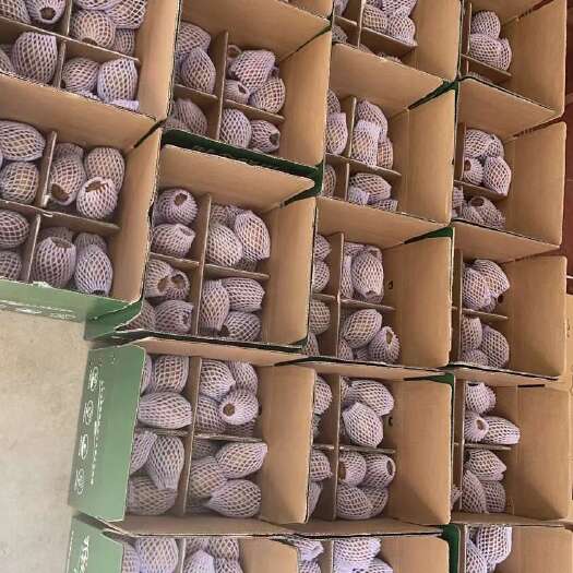 眉县眉县猕猴桃，团购，集采，电商一件代发，都支持