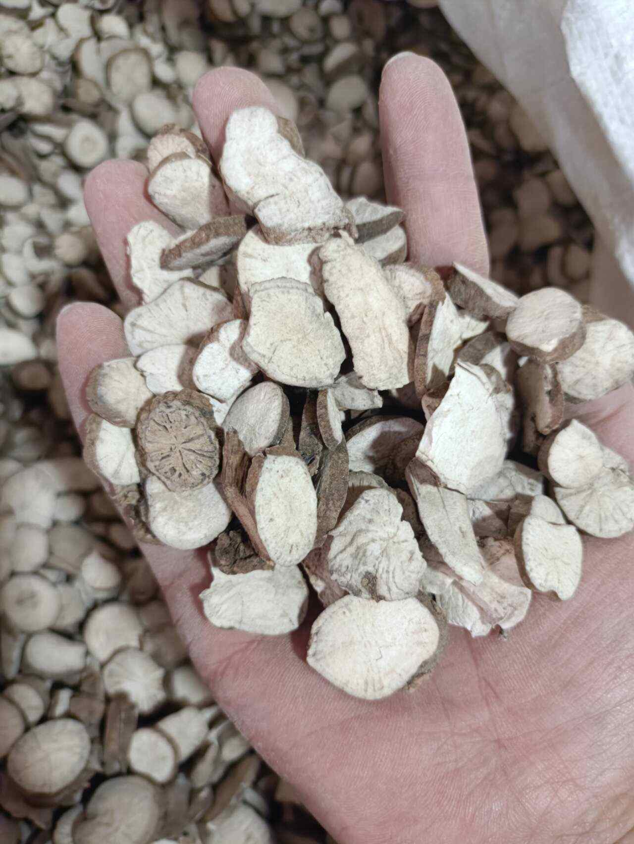 防己 粉防己 汉防己