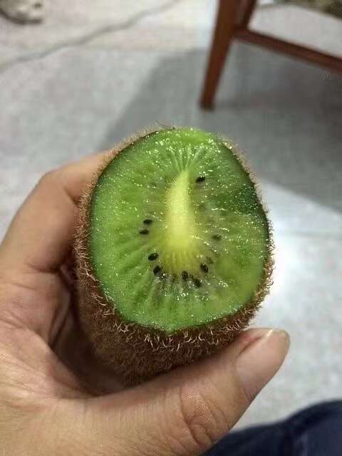 修文猕猴桃