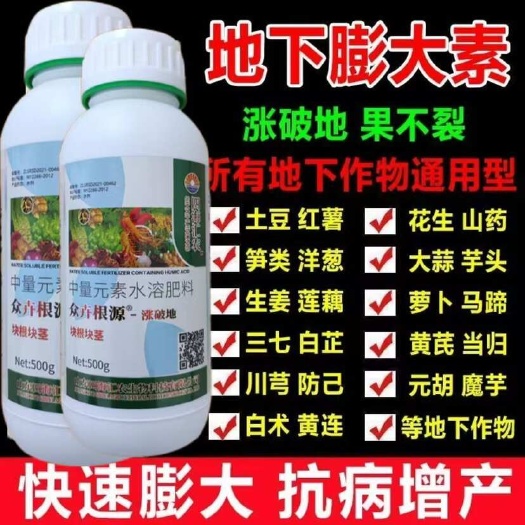陆丰市根茎膨大素地下生根洋葱花生土豆红薯大蒜姜壮苗叶面肥专用膨大剂
