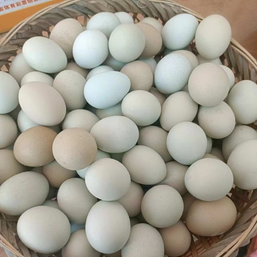 益阳乌鸡蛋