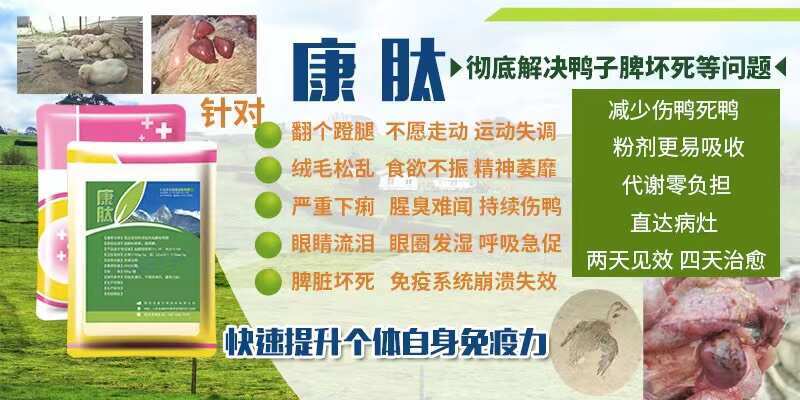 长沙康肽 鸭鹅脾脏坏死