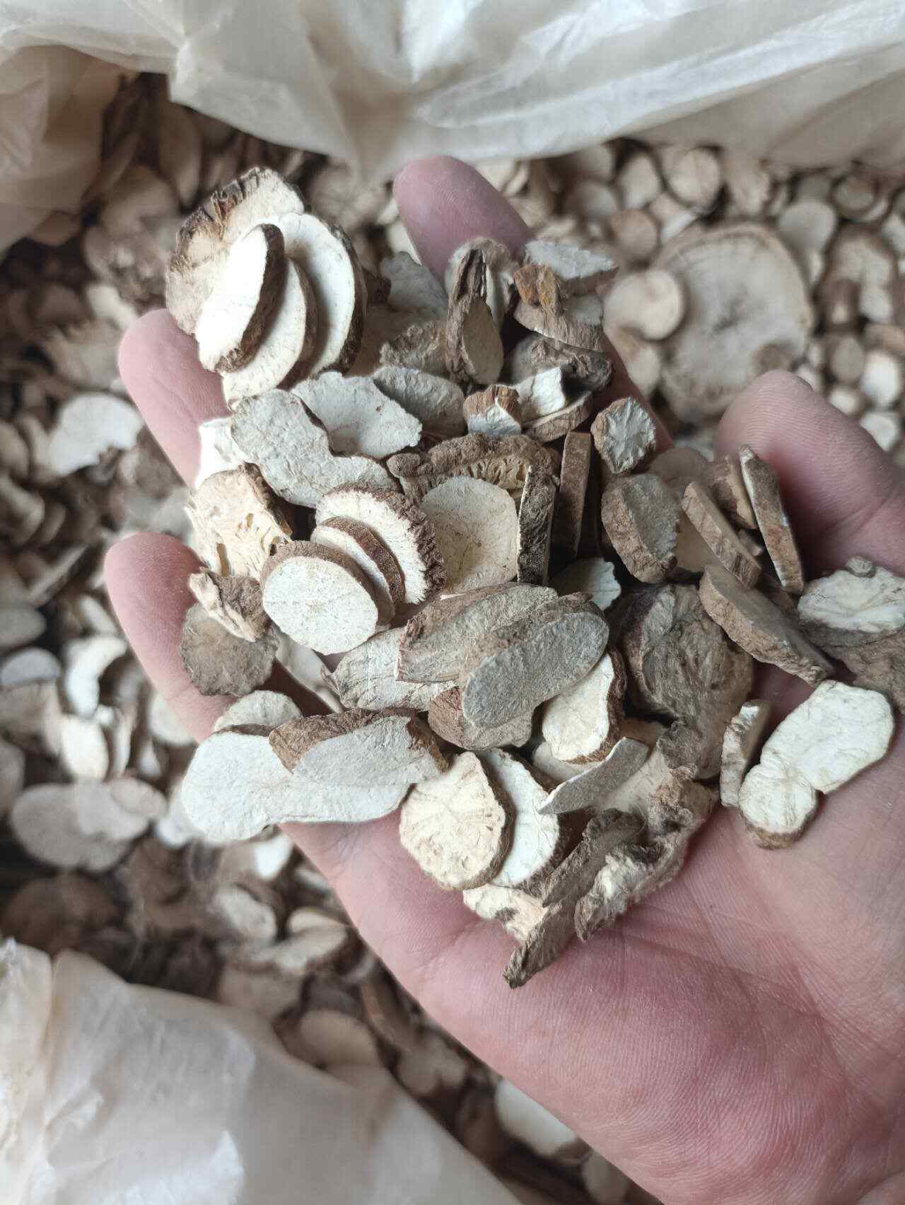 防己 粉防己 汉防己