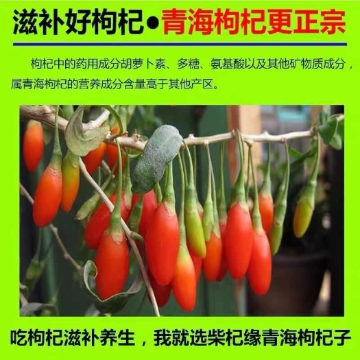 格尔木市青海诺木洪枸杞包装袋拉链袋自封拉链袋中药材包装袋厂家批发包邮