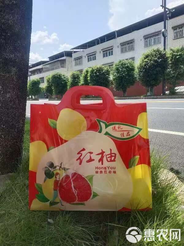 梅州蜂蜜柚子