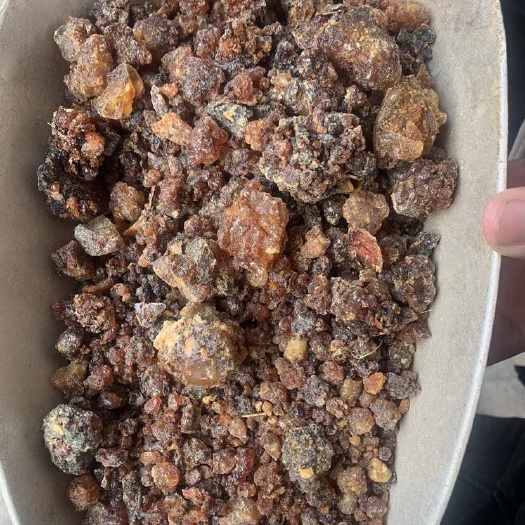 亳州肯尼亚 没药 各种规格