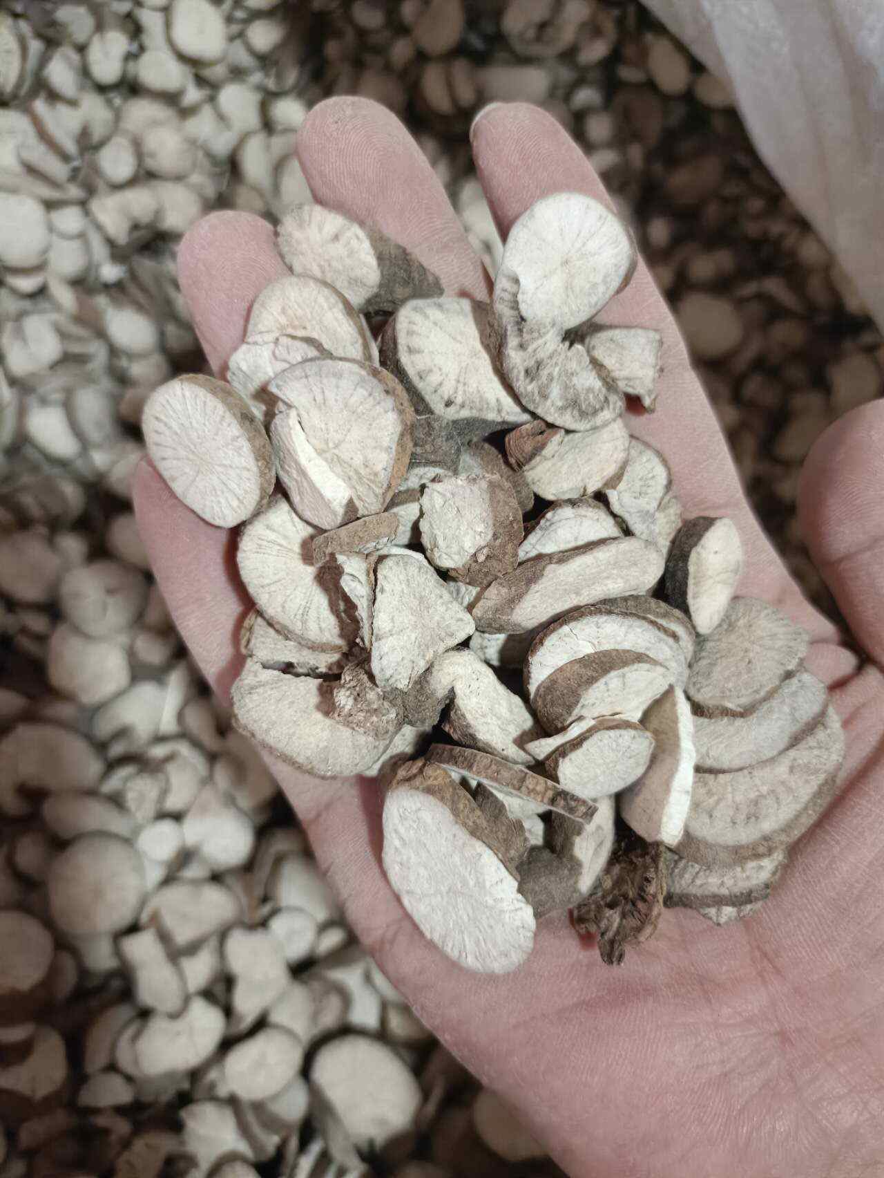 防己 粉防己 汉防己