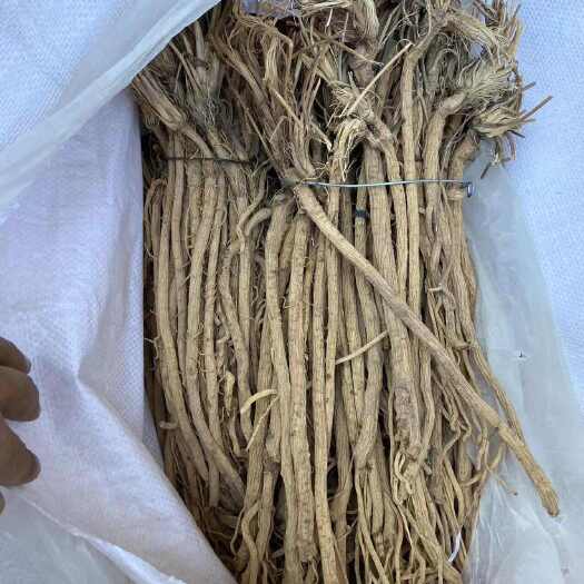 亳州中药材正品新货内蒙古北防风干精选防风粉中草药片天然防风个