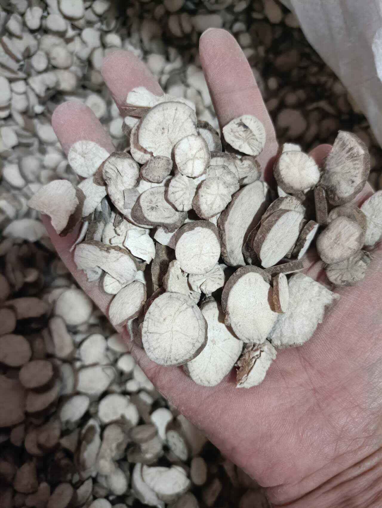 防己 粉防己 汉防己