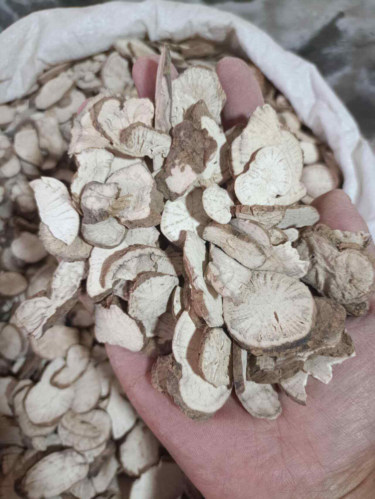 防己 粉防己 汉防己