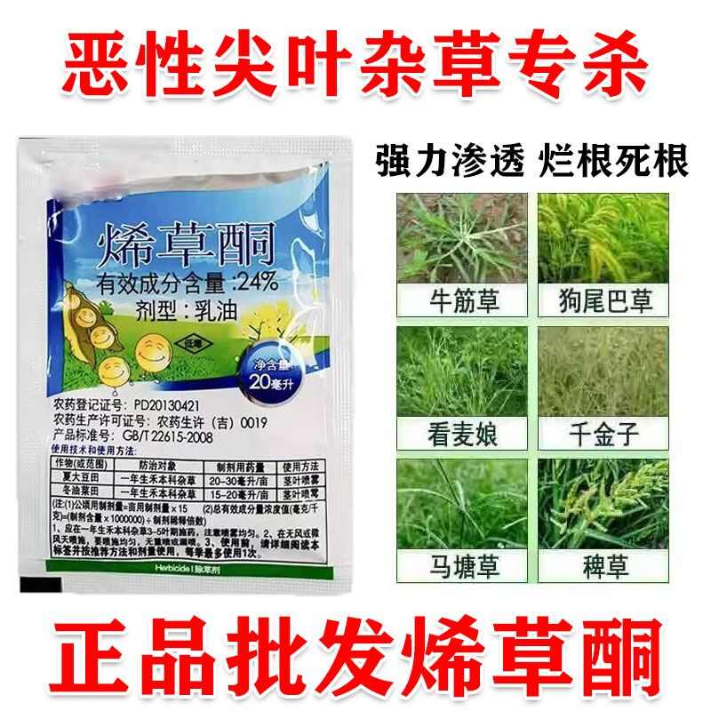 烯草酮尖叶杂草专杀花生大豆油菜田除草剂牛筋草芦苇等尖叶草