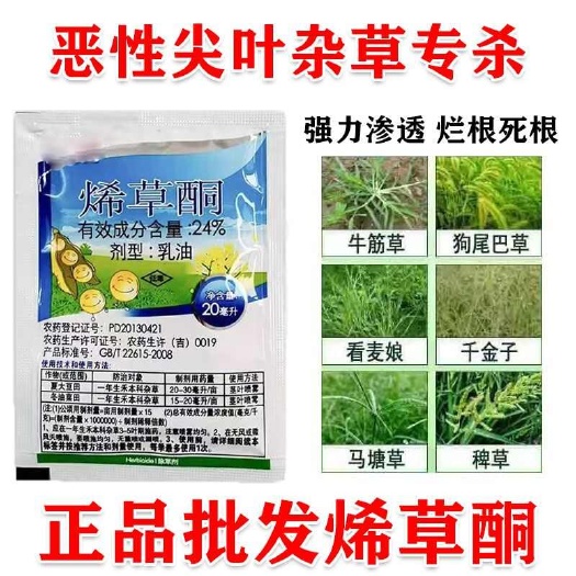 郑州烯草酮尖叶杂草专杀花生大豆油菜田除草剂牛筋草芦苇等尖叶草