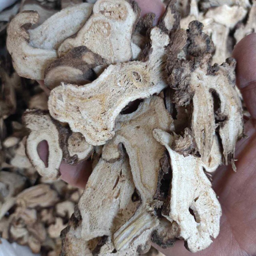 安国市白术 亳白术 无硫原色 蜂窝状明显 多种规格 包邮