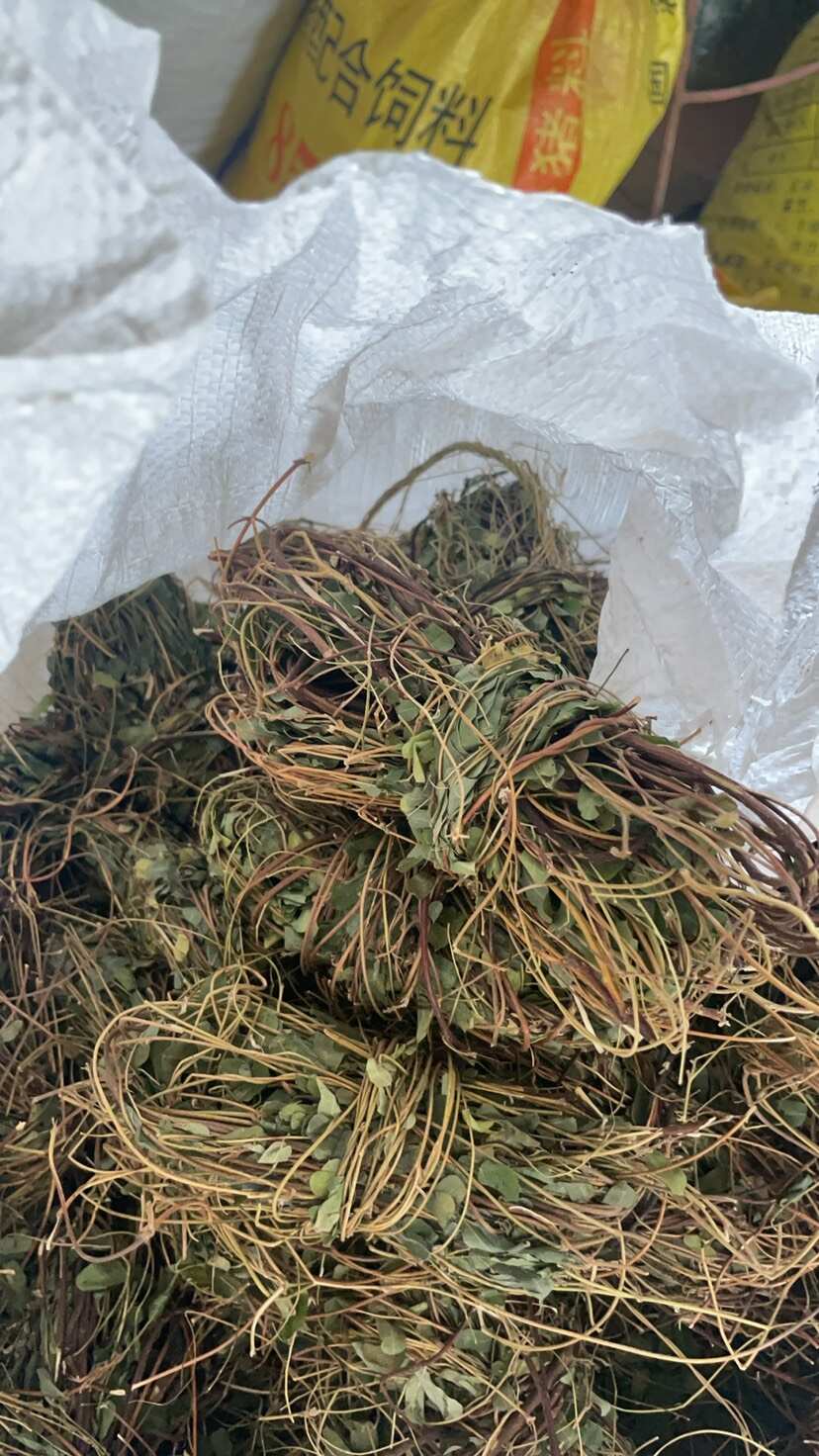 煲汤用无硫小叶鸡骨草带叶扎把，小捆小扎把，方便快捷