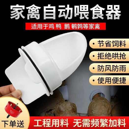 石家庄鸡鹅鸭自动喂食器家禽喂食户外鸡鸭鹅全自动家用防风防雨食槽