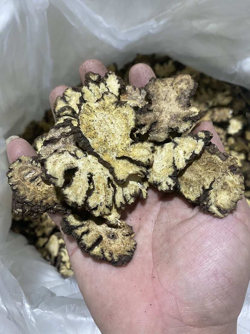 各种规格 无硫 阴干货