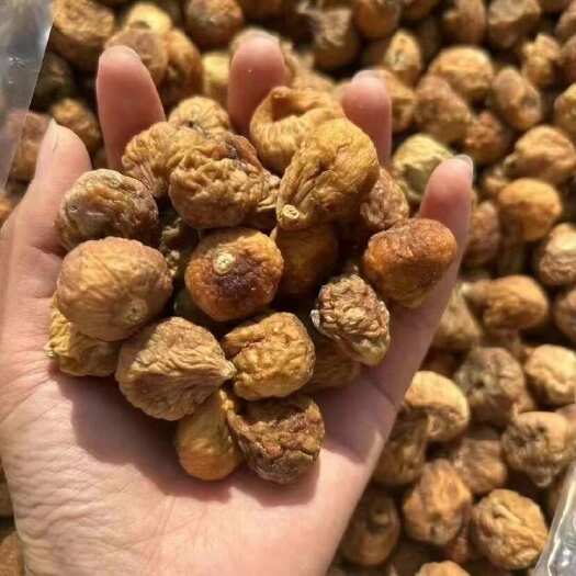 广州无花果干