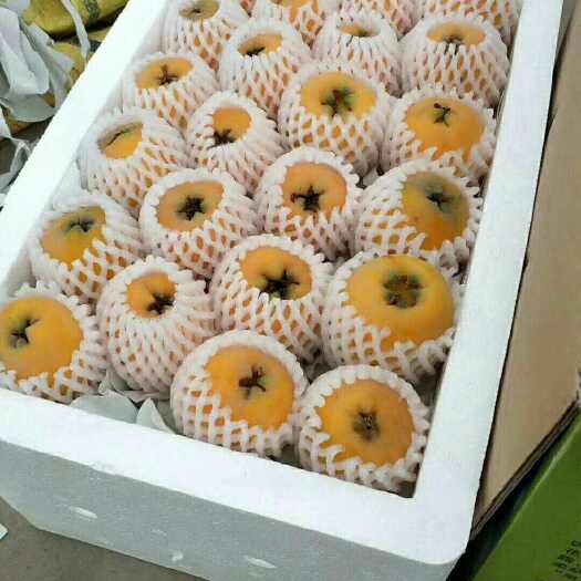 会泽县芒果枇杷