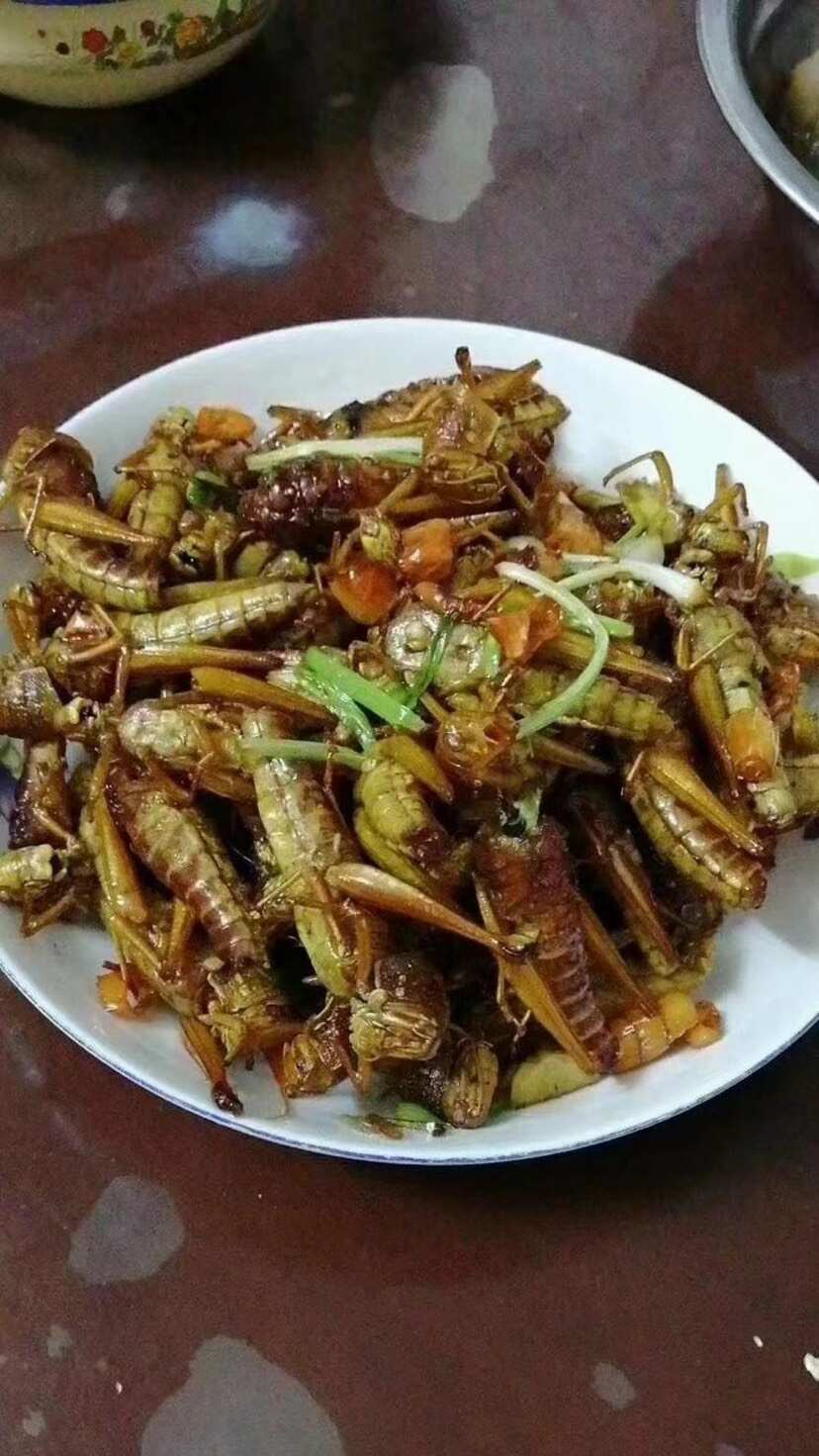 新鲜速冻蚂蚱蝗虫蚱蜢冰冻公母混合装公母带翅蚂蚱油炸椒盐烧烤
