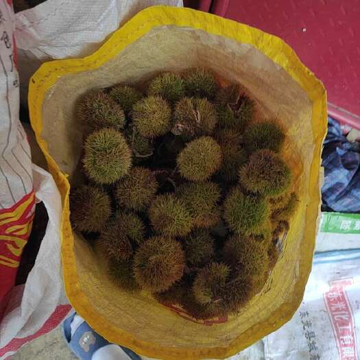 天津迁西板栗，青皮核桃都有货，需自提