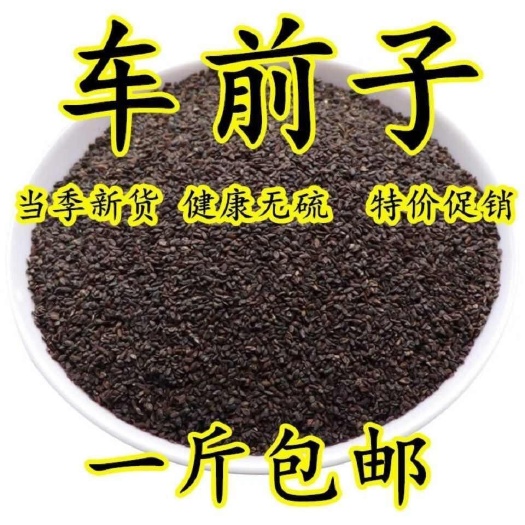 中药材车前子正品车前草籽车前实10/500g克包邮车前子