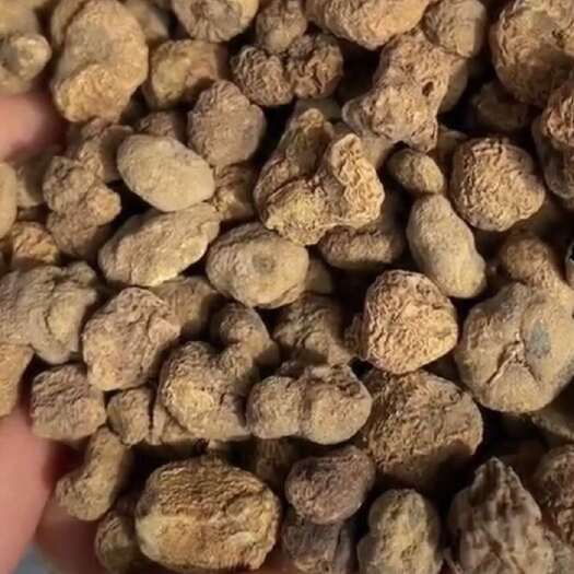 城固县干元胡，量大，有需要的联系。