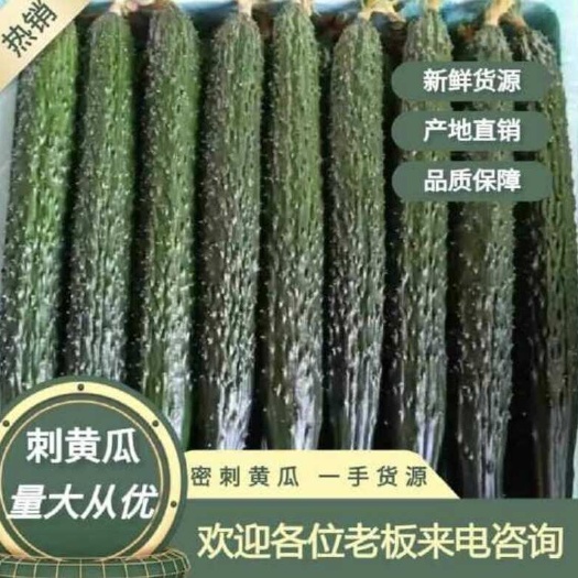 云南黄瓜顶花带刺，电商货，市场货，精品货。新鲜现采摘。