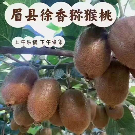 眉县陕西眉县徐香猕猴桃
