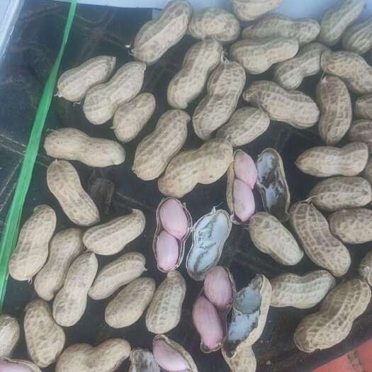 开封鲜花生