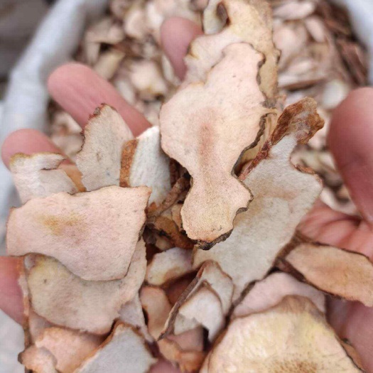 安国市土茯苓 粉质土茯苓 粉性足 可打粉煲汤