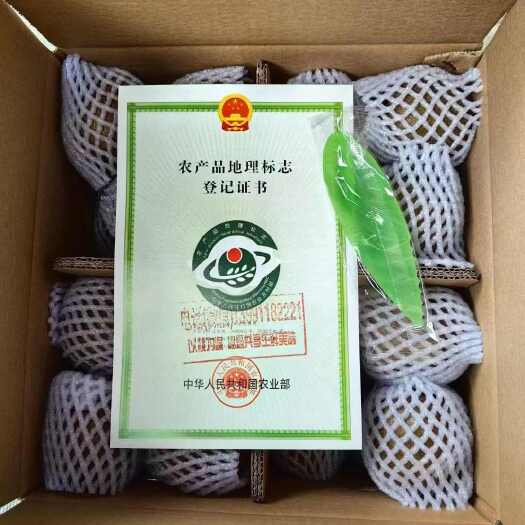 眉县徐香猕猴桃中果单果重80克~100克