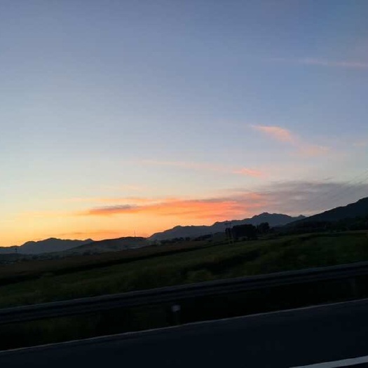 富锦市水田