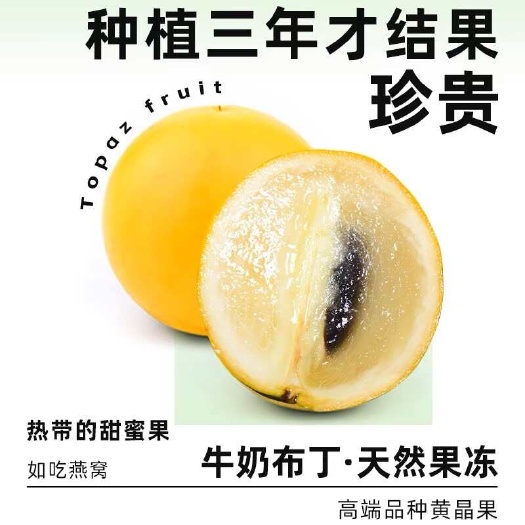 云霄县黄晶果