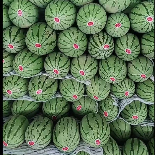 邯郸西瓜