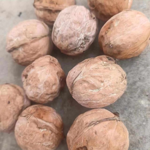 成县鲜核桃果