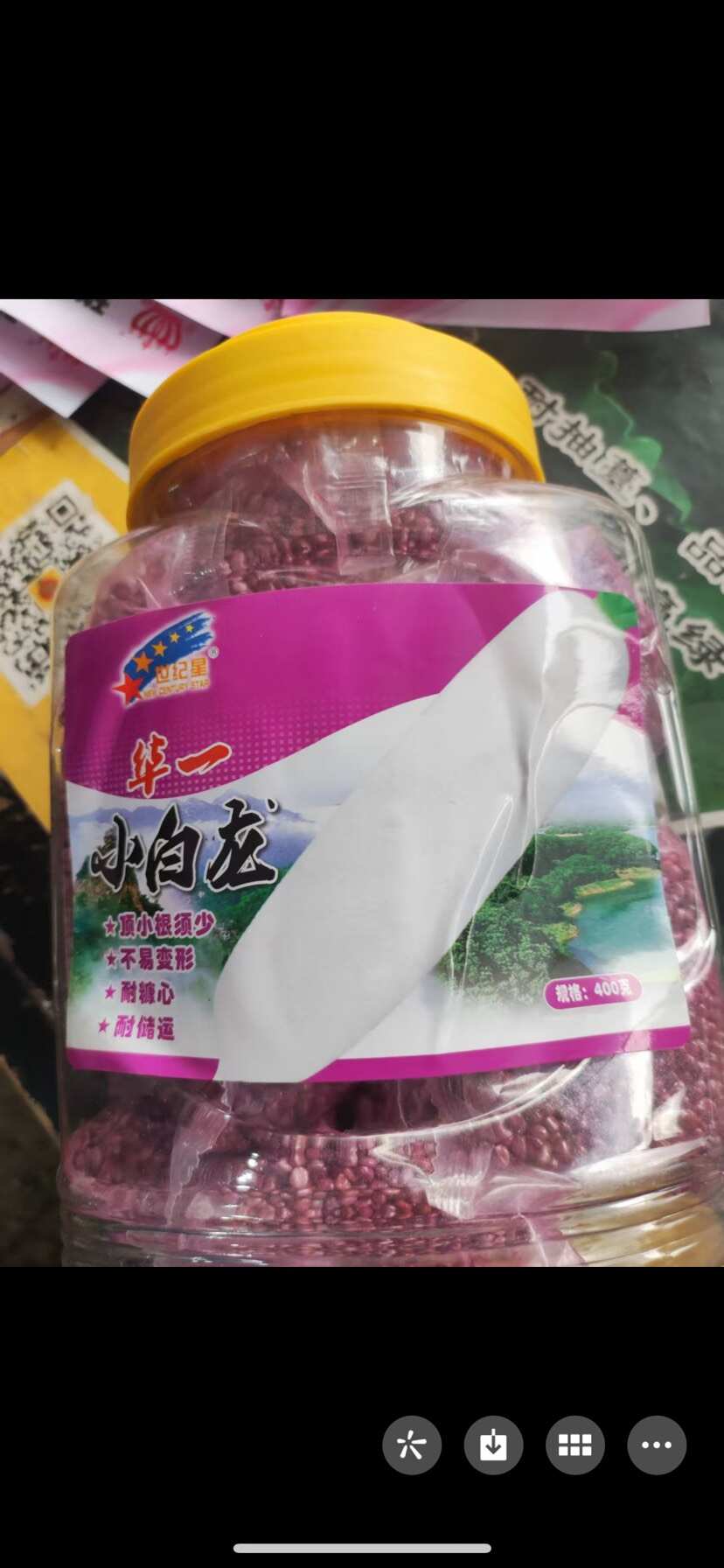 小白龙萝卜种子。耐热。抗重茬。个头均匀。基地。园区值得推广