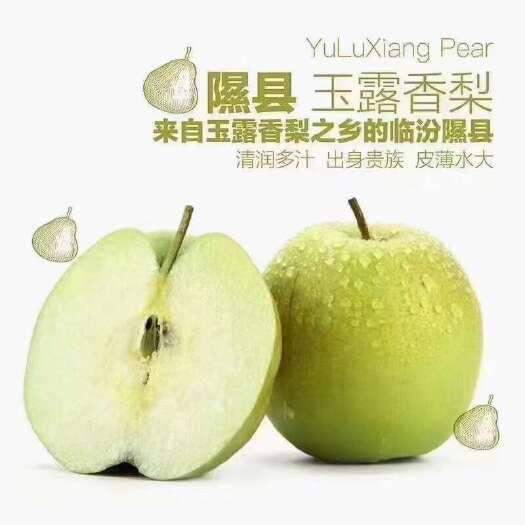 隰县隰县玉露香，果肉细腻，皮薄，酥脆多汁，果汁含量高达百分之九十