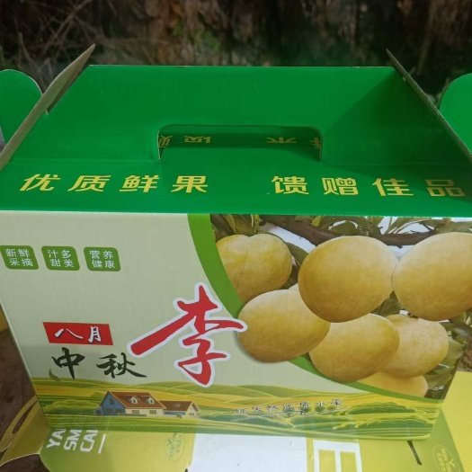 毕节黄金奈李/八月中秋李