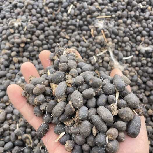 若尔盖县若尔盖草原纯干羊粪