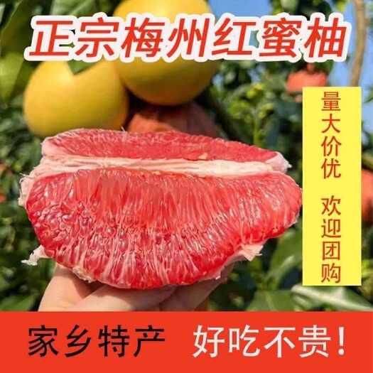 【一件代发顺丰包邮】广东梅州梅县三红蜜柚酸甜可口多汁现摘现发