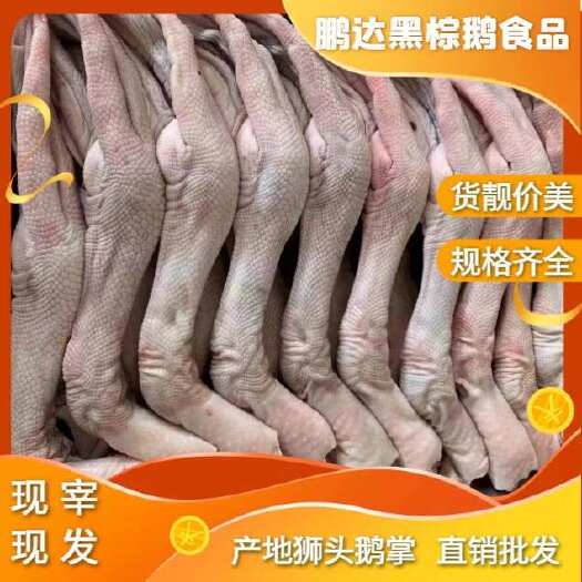 澄海狮头鹅掌翅