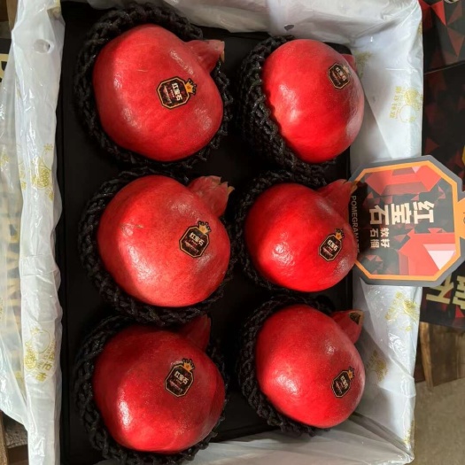 红宝石软籽六月石榴