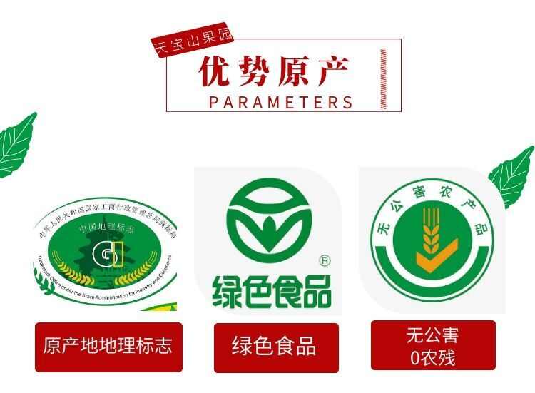 山东平邑大绵球山楂 新鲜水果 核果仁果类 直供批发